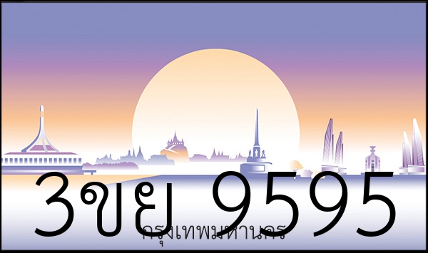 3ขย 9595